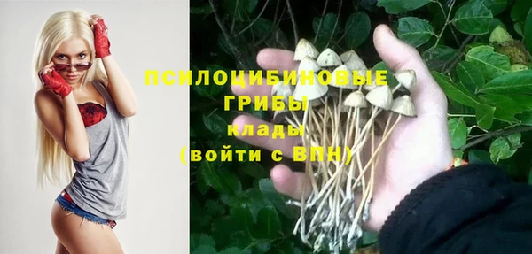 гидропоника Алексеевка
